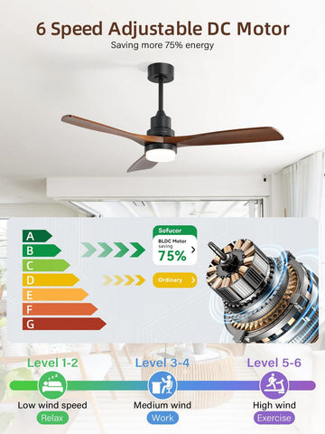 Sofucor reverse airflow feature balances seasonal temperatures.
