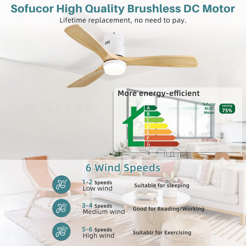 Sofucor reversible DC motor enables year-round comfort and efficiency.