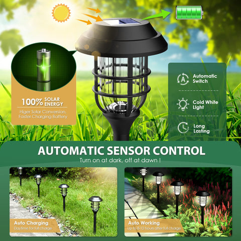 SOLPEX pathway lights provide bright illumination for garden paths
