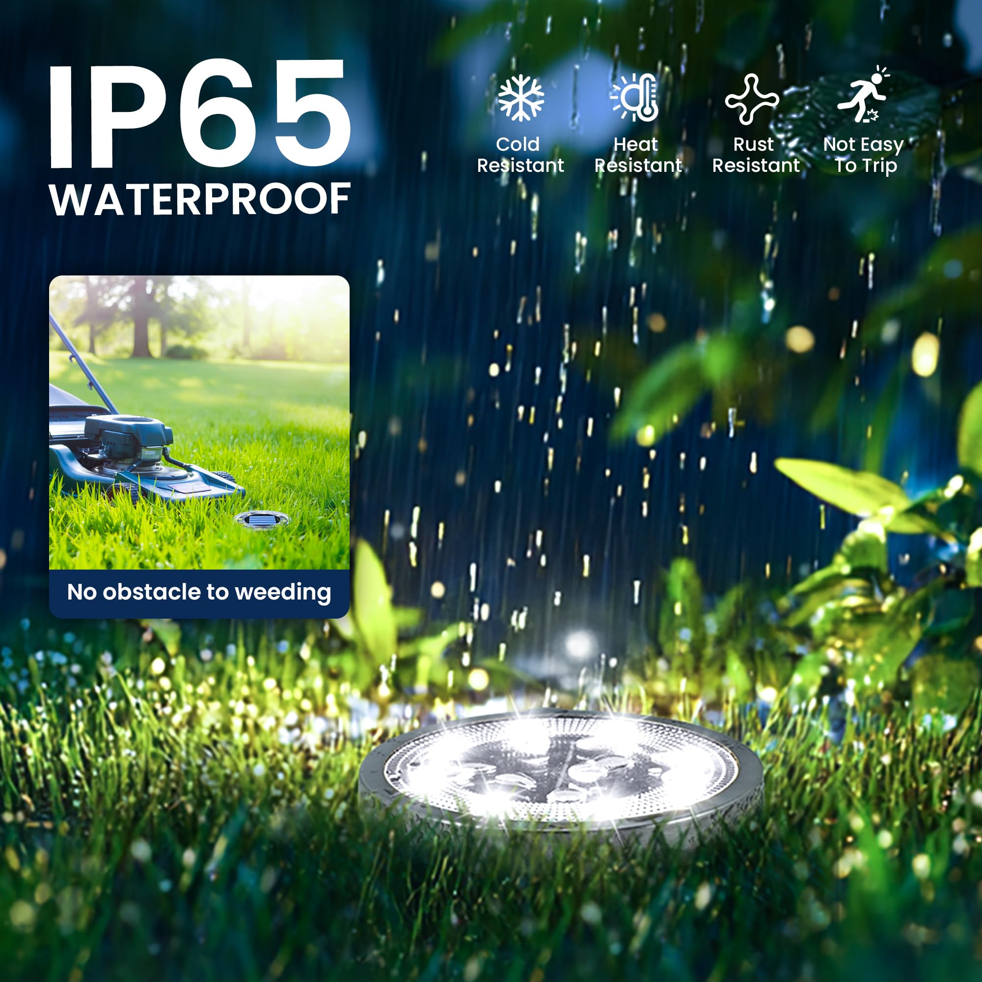 Solpex cool-white landscape lighting enhances driveways.