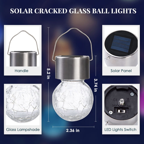 SOLPEX multicolor night illumination creates vibrant garden accents.