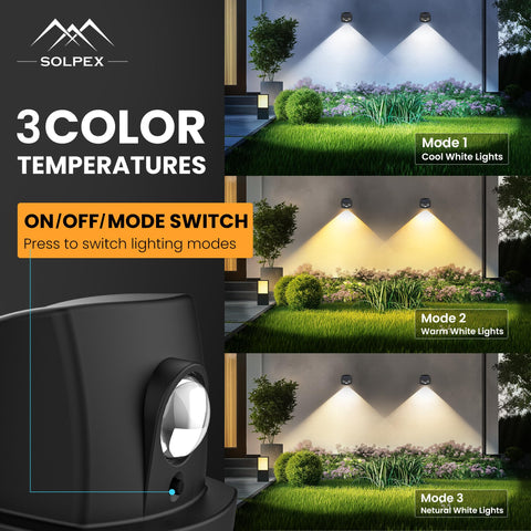 SOLPEX solar yard path light provides wide coverage up to 160 sq ft.