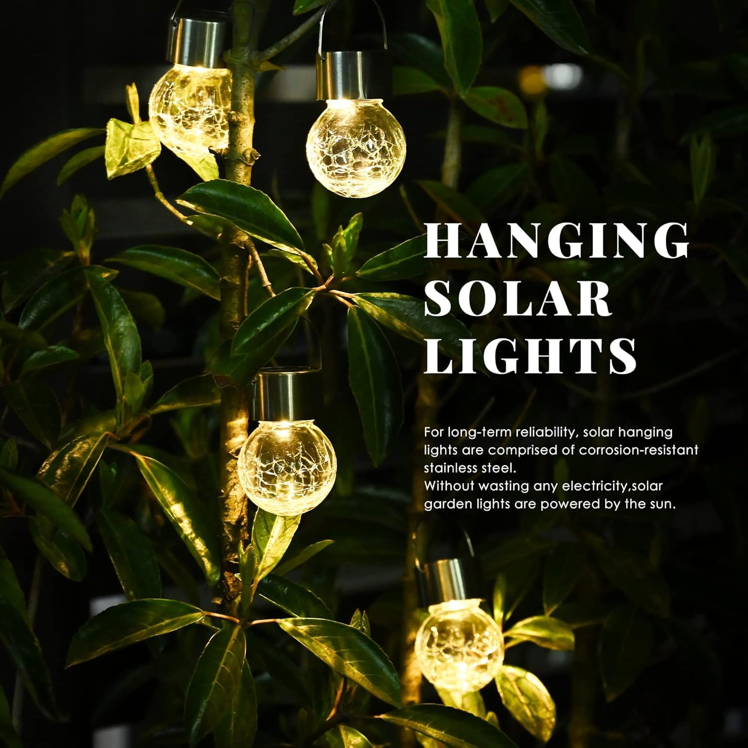 SOLPEX warm white LEDs create cozy nighttime ambiance