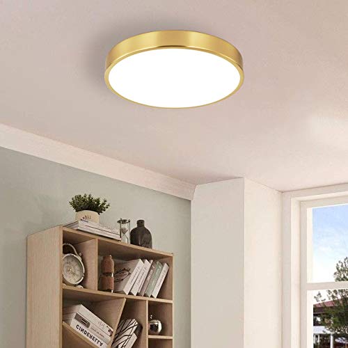 SOTTAE 12-inch brushed gold LED ceiling light 5000K cool white setting