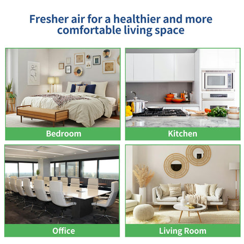 Soulmate 210 replacement filter pack of 2 for convenient home coverage.