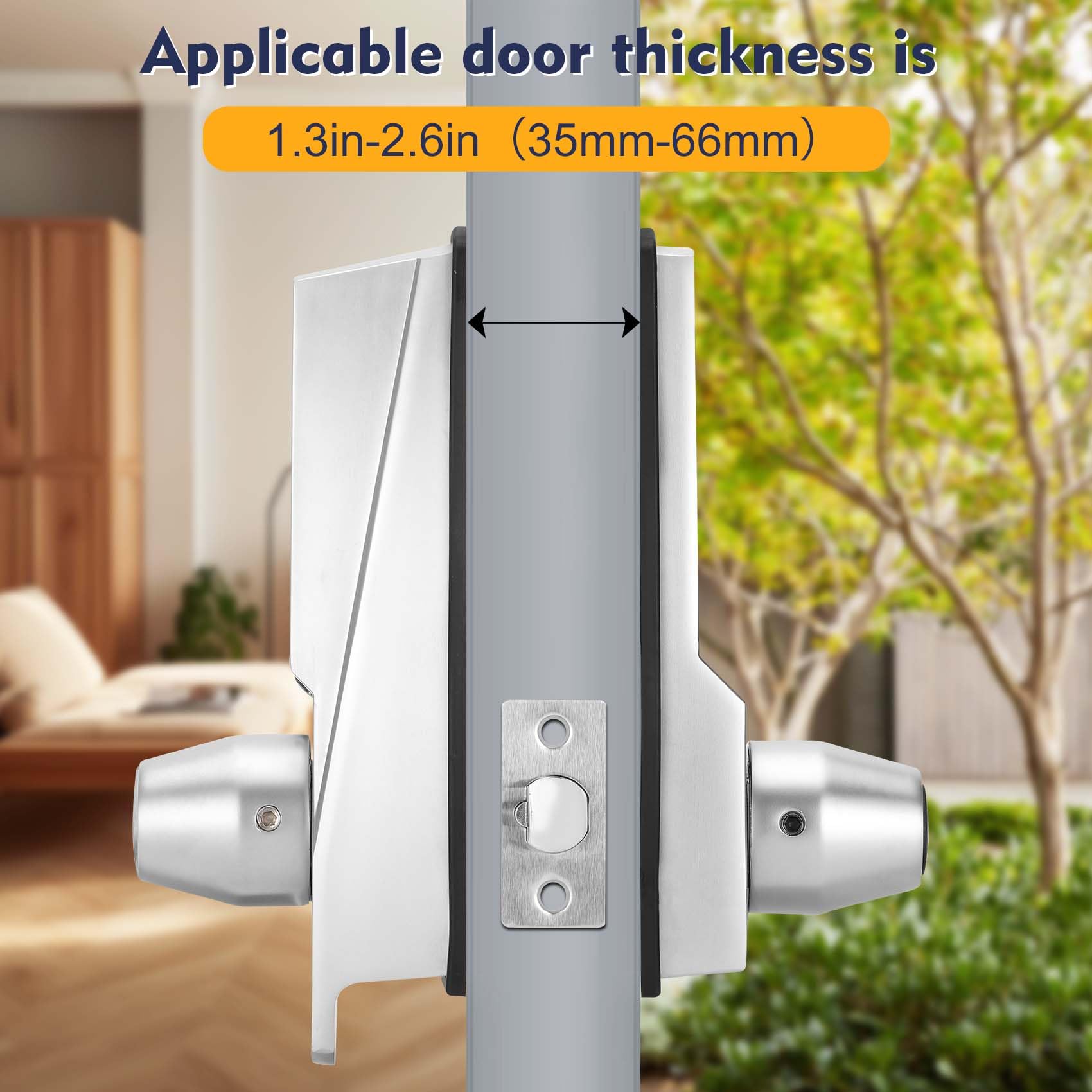 Souyou lock panel shows password entry for convenient access