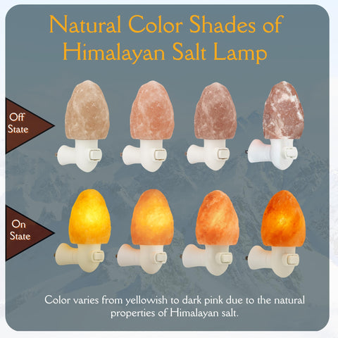 Spantik Himalayan crystal lamp decorates living room with warm glow.