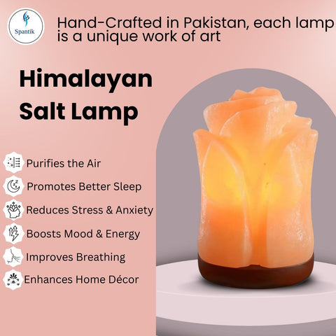 Spantik office desk lamp adds subtle warmth to workspace.