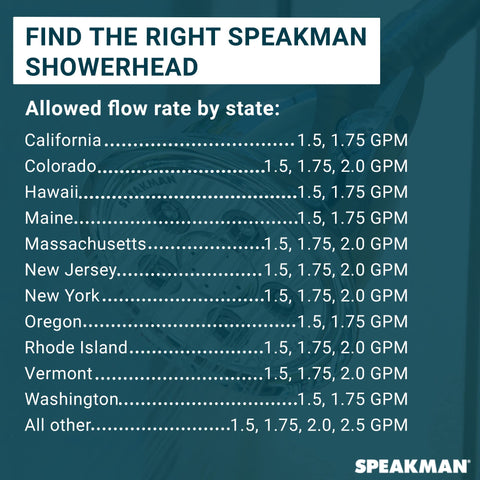 Speakman Icon S-2251 highlights sixty-four high‑pressure sprays for full coverage.