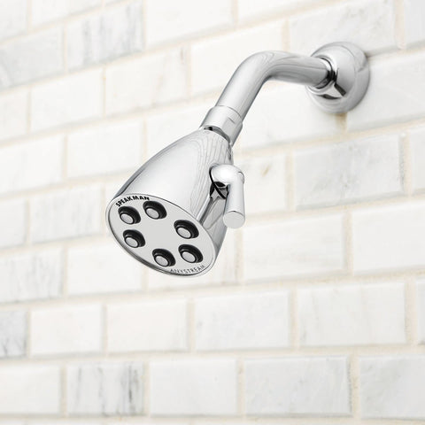 Speakman S-2252-E175 AnyStream 360 system offering versatile spray options for personalized showers