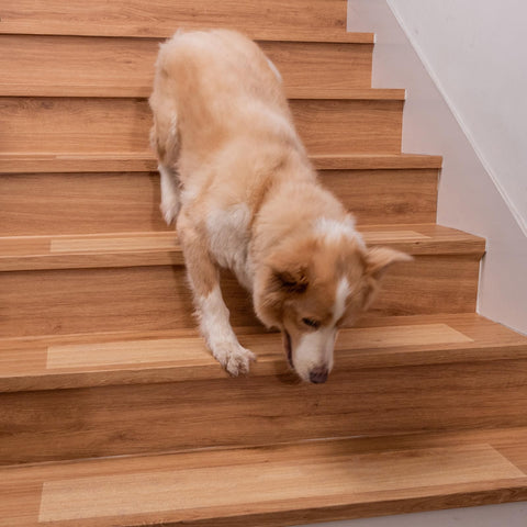 Spurtar non-slip treads on wood stairs enhance safety during installation.