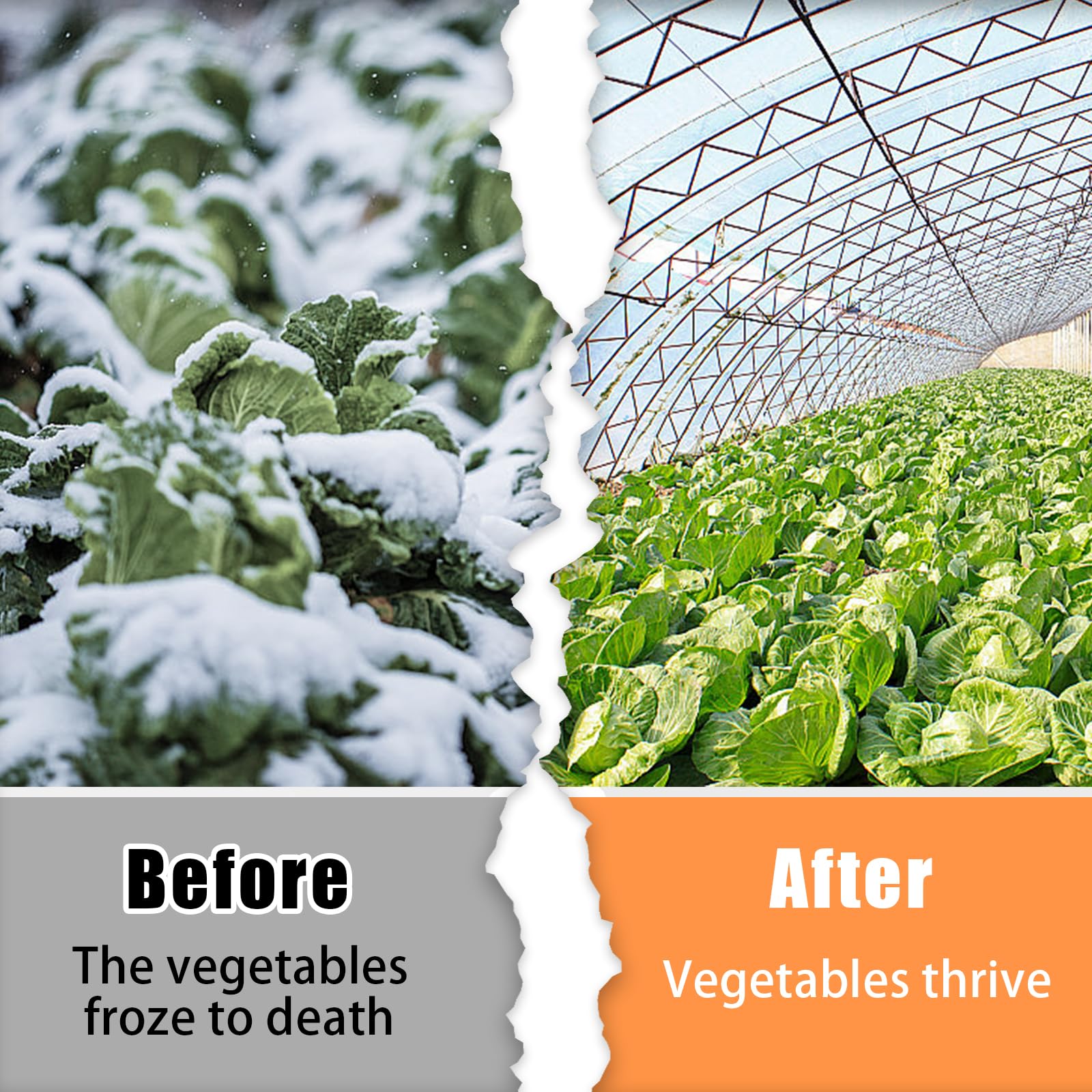 Srmayyi all-season film suitable for DIY greenhouses, planting tunnels, and gardens.