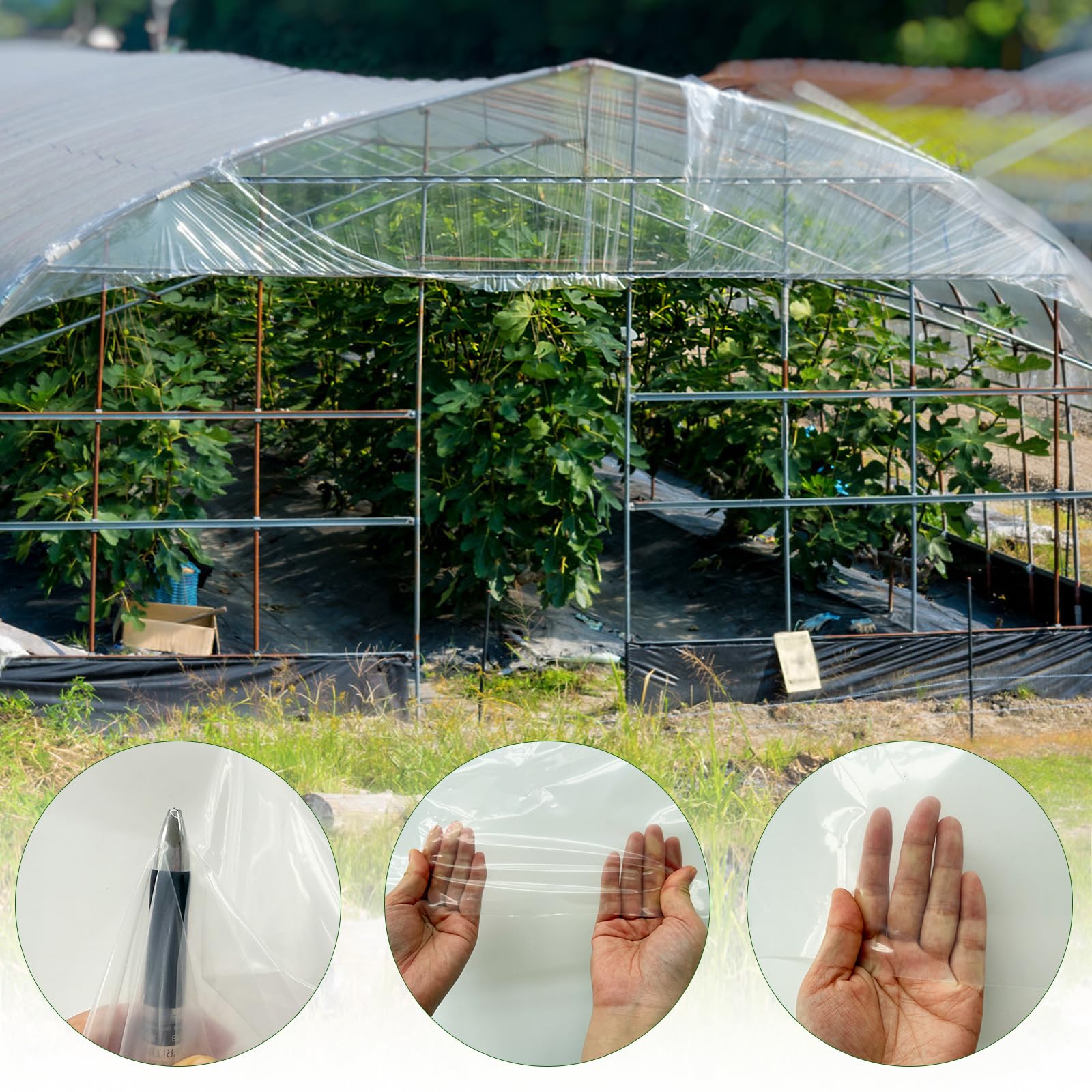 Srmayyi transparent greenhouse film stores easily and wipes clean for repeated use.