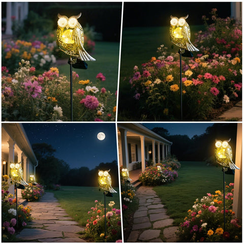 SRNPMIU night glow from owl eyes adds ambiance to landscapes