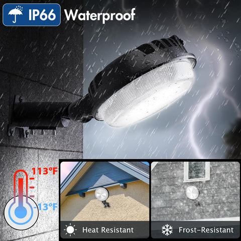 StarMoitic 6500K daylight LED for bright, clear outdoor lighting