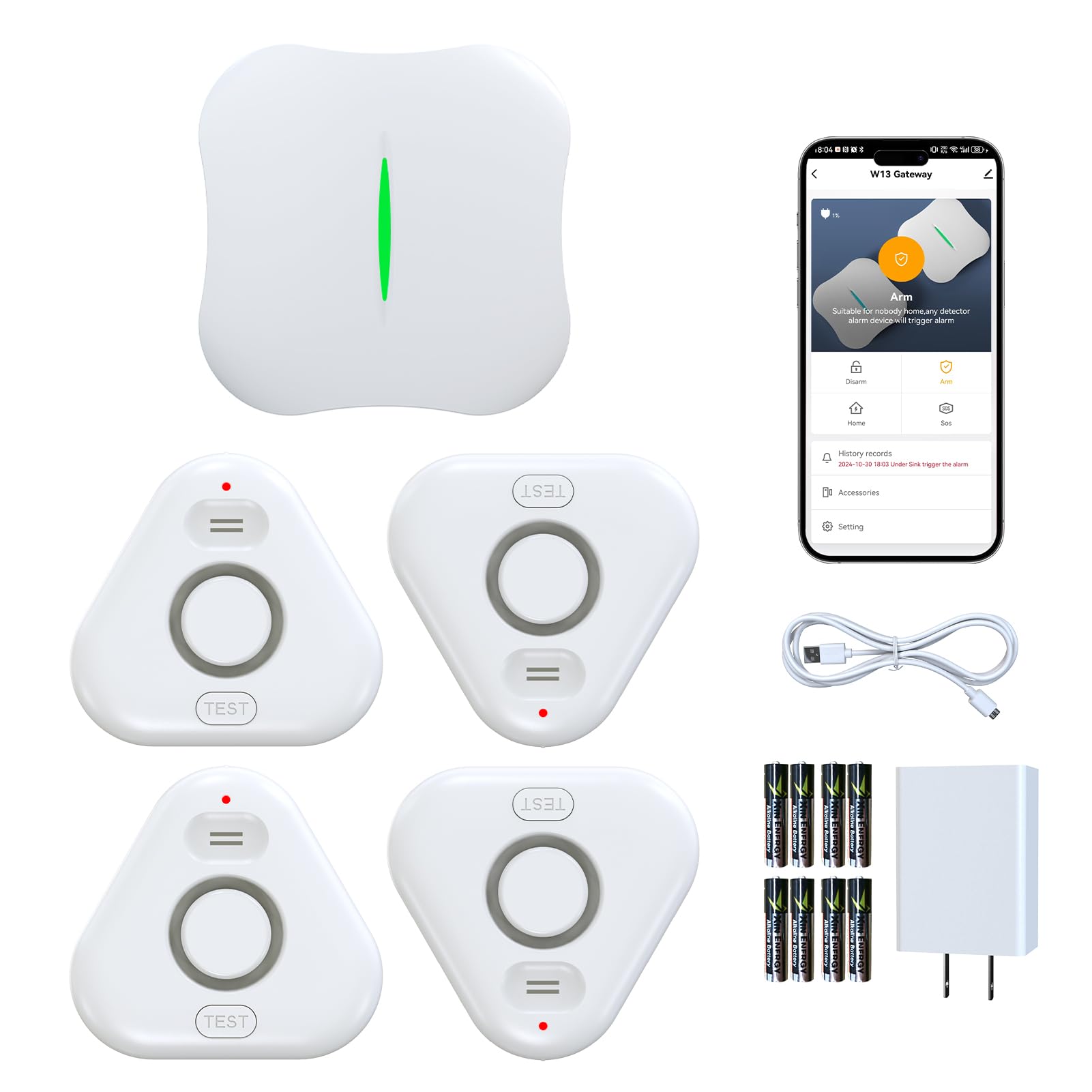 Stechro water sensor bottom probes near kitchen sink for rapid leak alerts