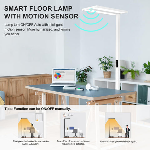 STERREN uplight and downlight provide 360-degree versatile room illumination.