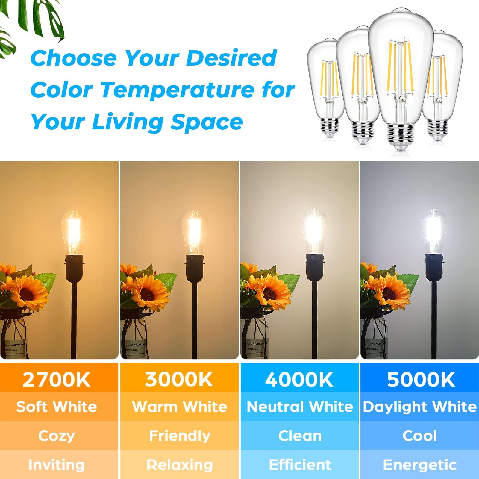 Sucolite eye-friendly, flicker-free light reduces eye strain during evenings.