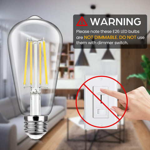 Sucolite ST58 filament bulb with clear glass, ideal for decorative fixtures.