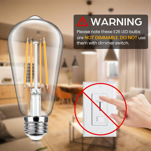 Sucolite ST58 filament with clear glass for retro style lighting.
