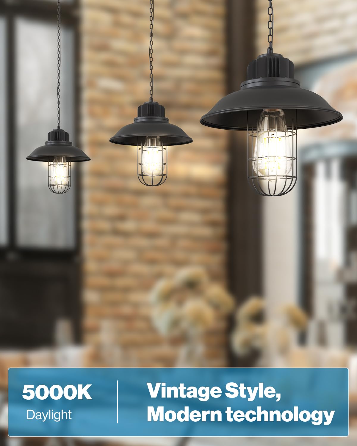 Sunco 12-pack vintage Edison bulbs ideal for cafe ambience.