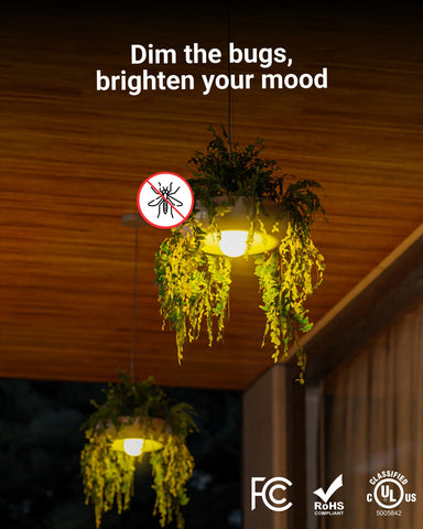 Sunco yellow bug light installed in a porch lantern creates inviting nighttime ambiance