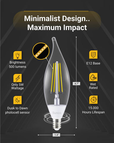 Sunco 500 lumen exterior light suitable for porches and pathways
