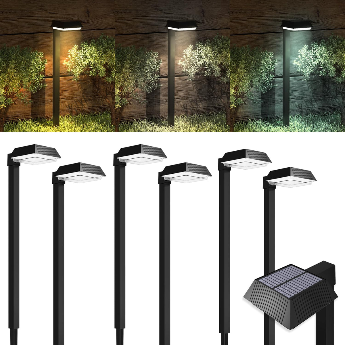 Sunco 6-pack solar path lights brighten a cord-free walkway along a garden path.