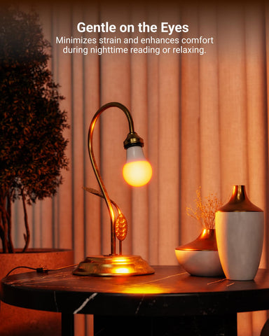 Sunco A19 Amber LED bulb with E26 base compatibility