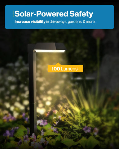 Sunco backyard path lighting enhances safety along a patio path.