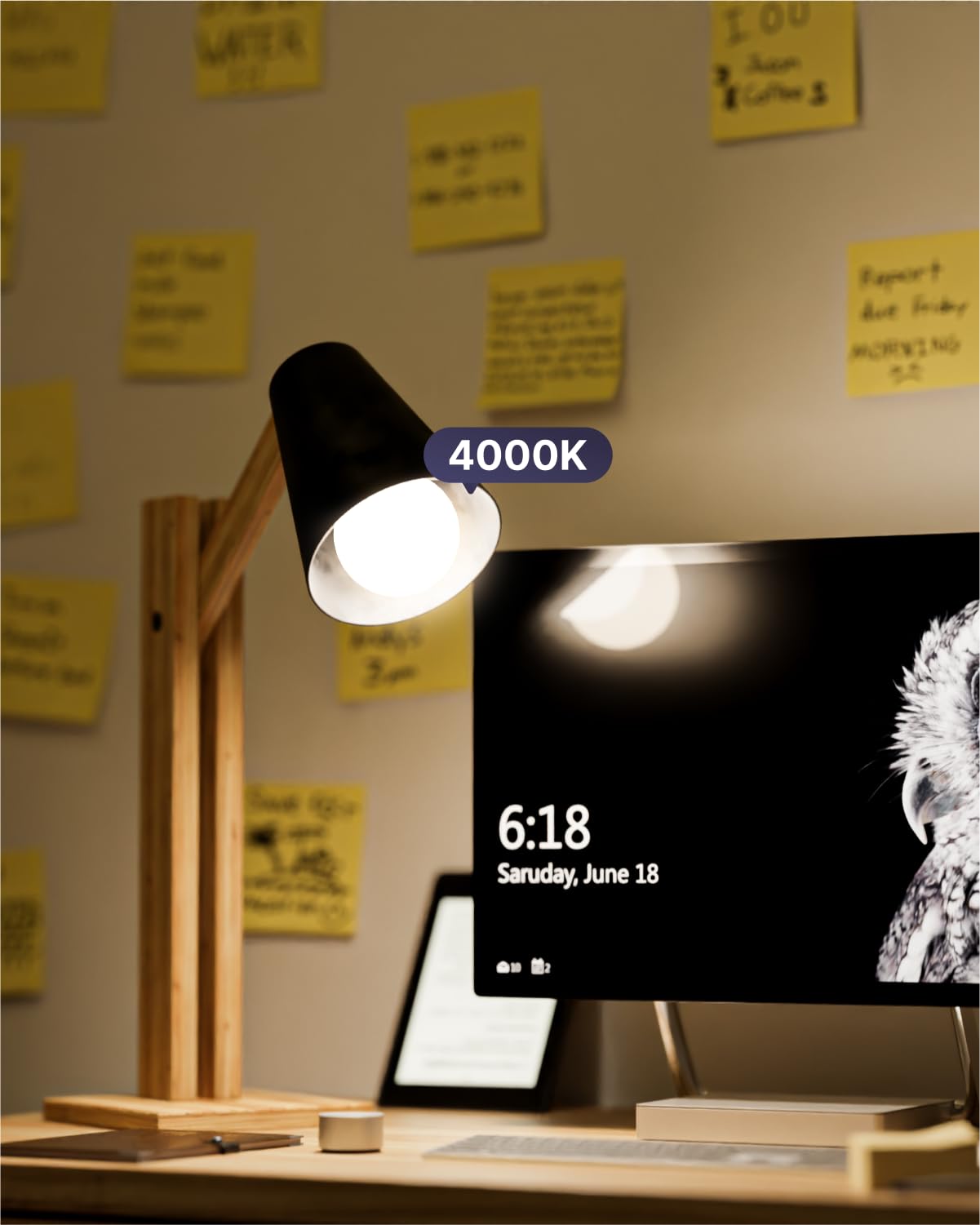Sunco Lighting LED bulbs with E26 base fit standard sockets for easy upgrades.