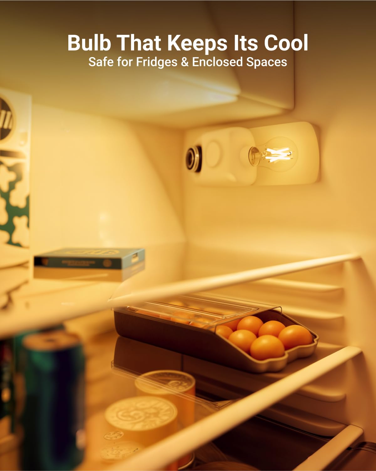 Sunco Lighting 60W-equivalent LED A15 delivers familiar glow with modern efficiency.