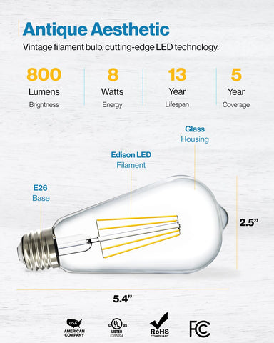 Sunco Lighting weatherproof ST64 bulb stands up to rain and dust for outdoor use.