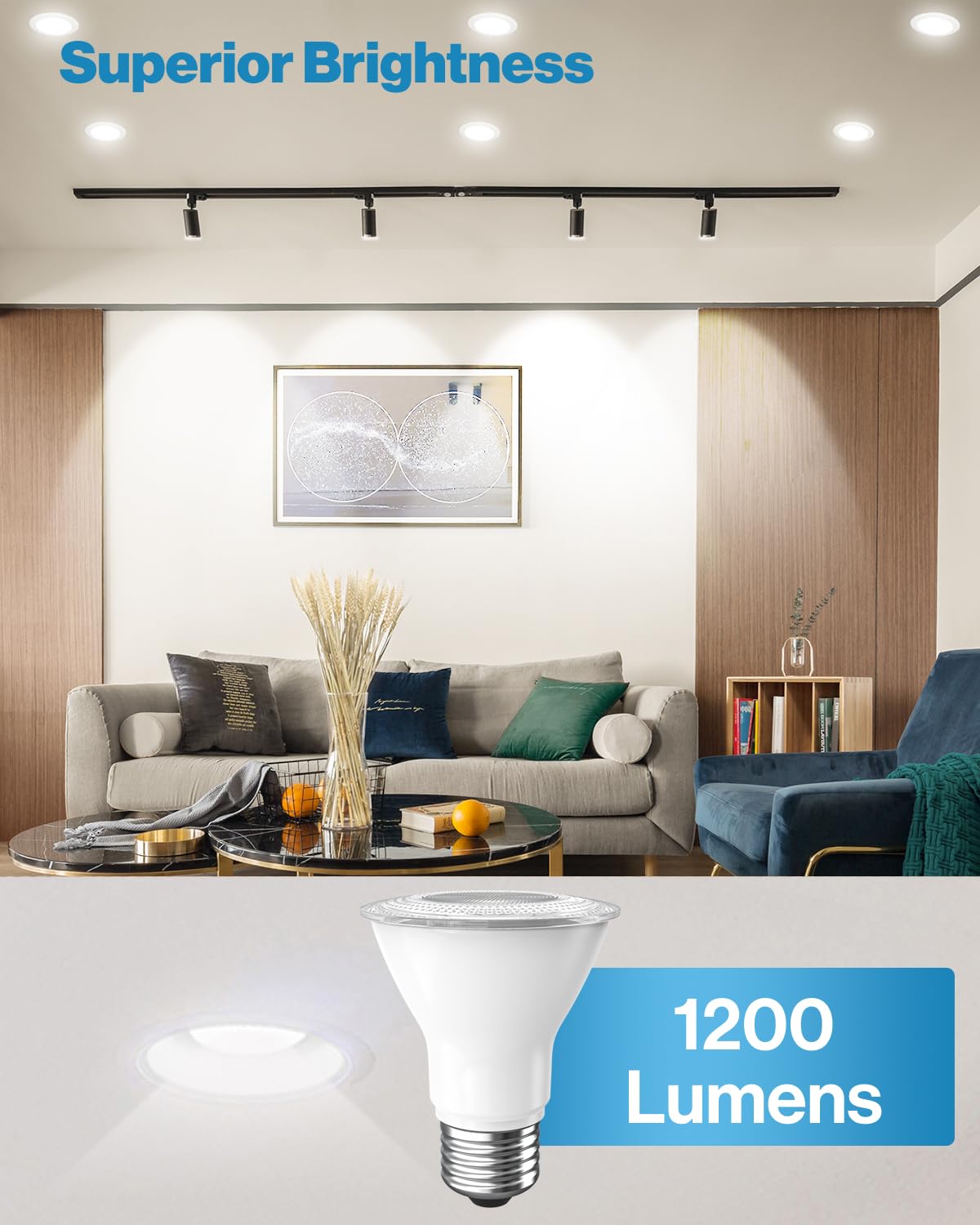 Sunco PAR30 waterproof bulb designed for exterior use.