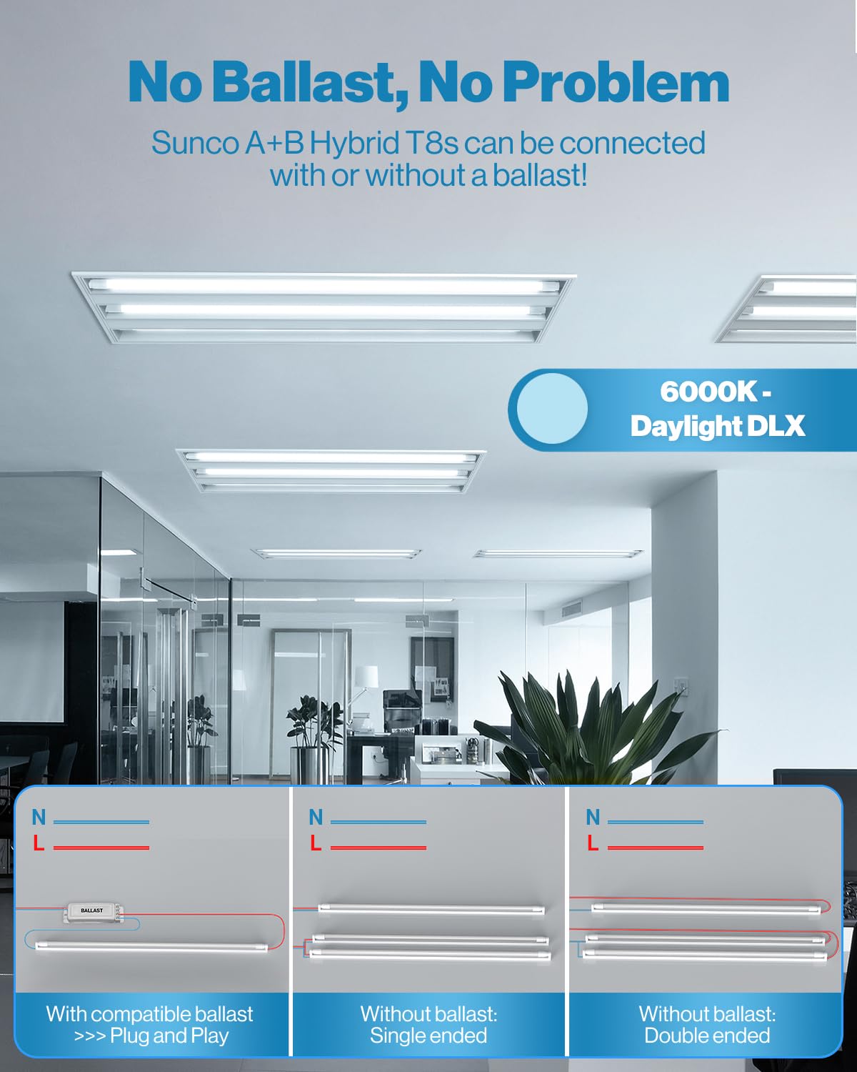 Sunco daylight 6000K 4ft T8 LED bulbs with frosted lens.