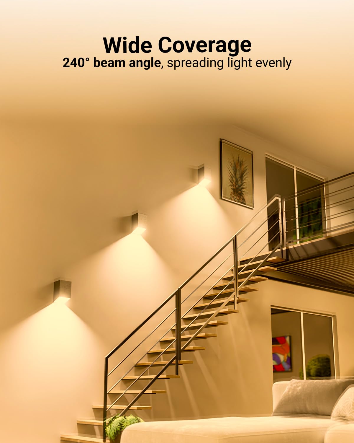 Sunco support and 5-year warranty from USA-based team.
