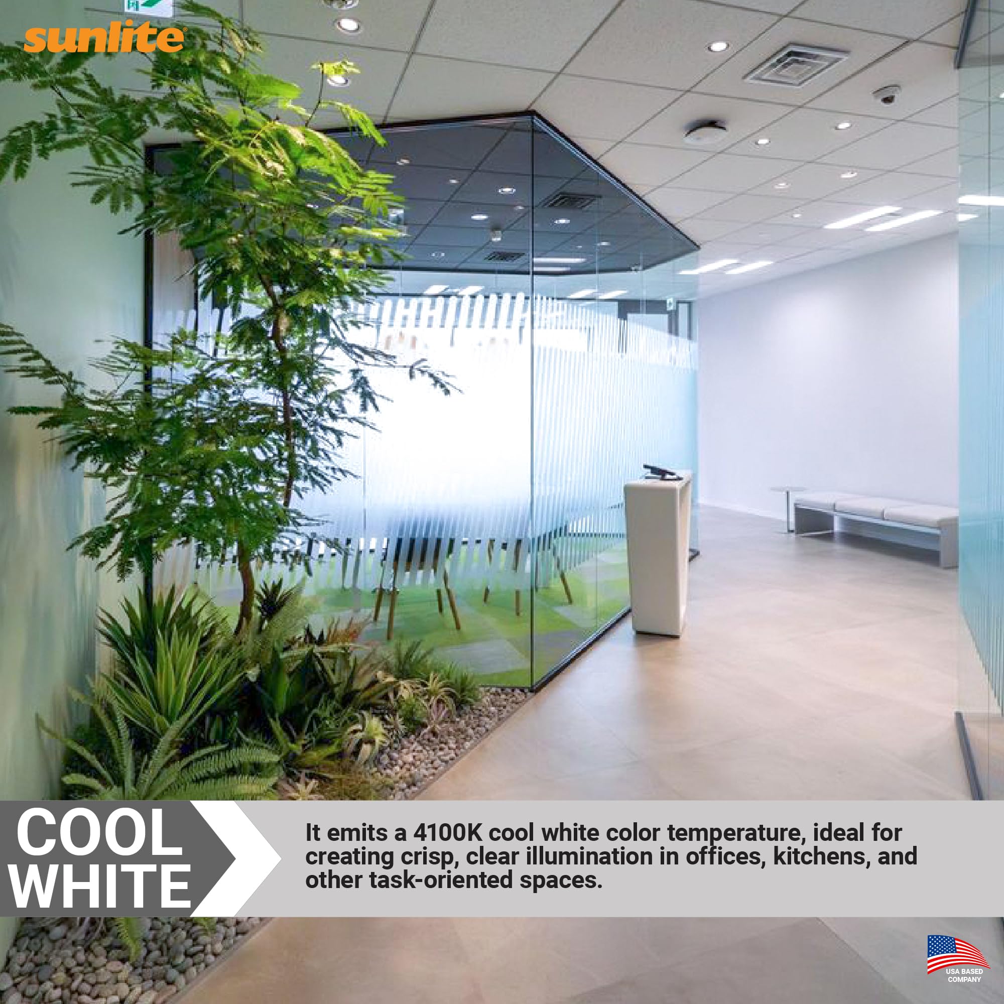 Sunlite PLD13/E/SP41K cool white glow for crisp task lighting