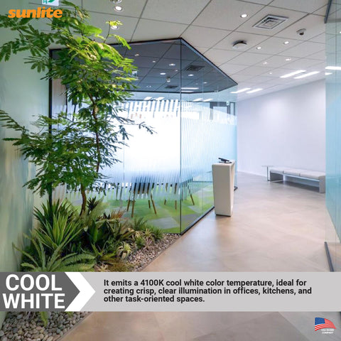 Sunlite PLD13/E/SP41K cool white glow for crisp task lighting
