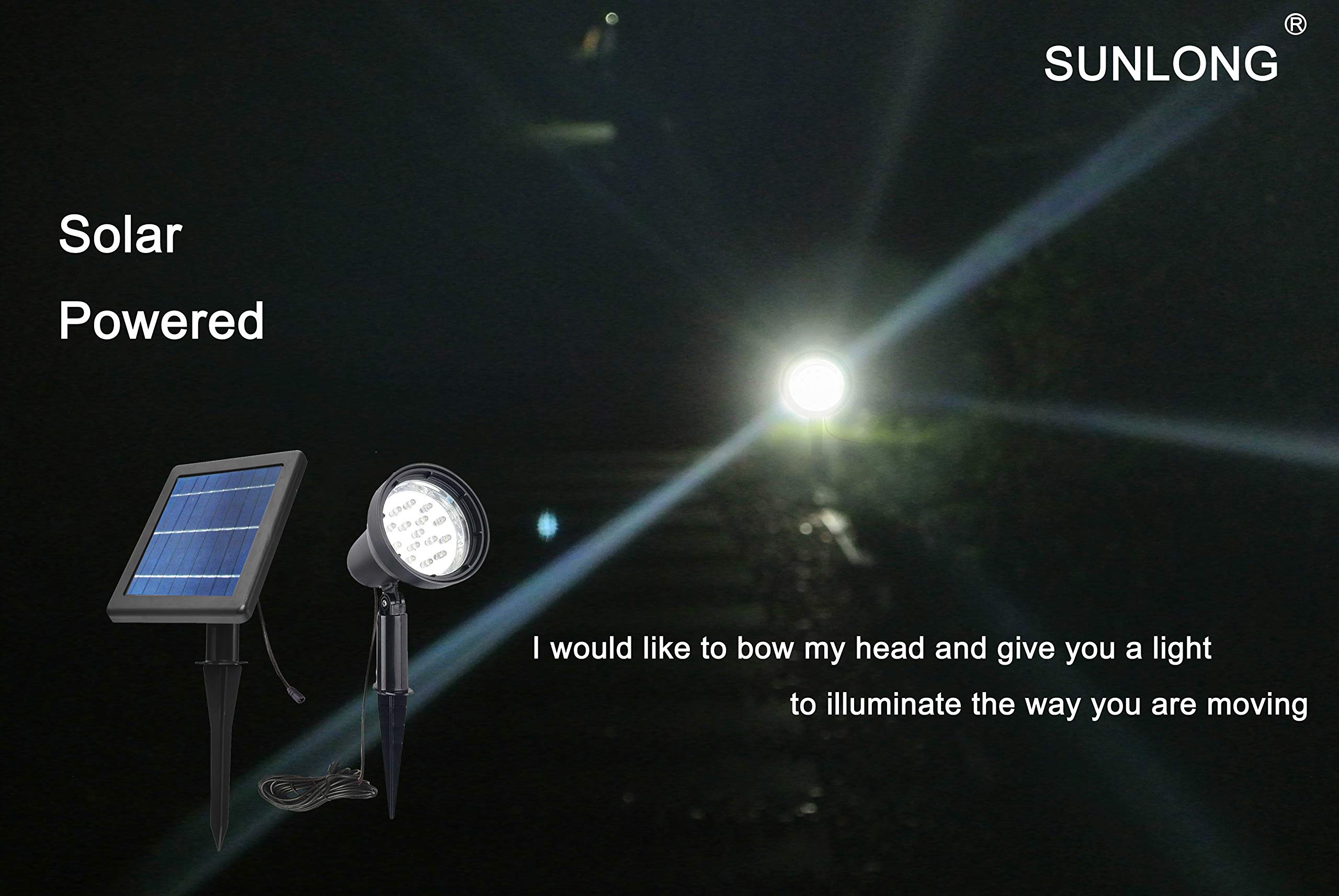 SUNLONG replaceable battery ensures long-lasting outdoor brightness.