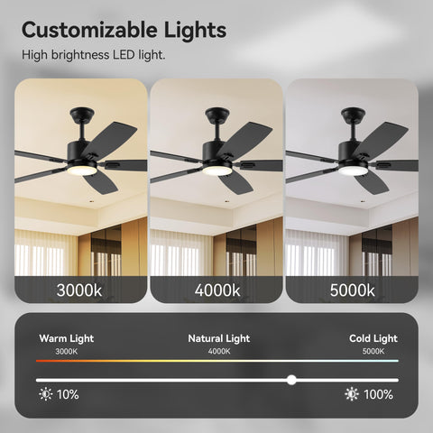 SUNMORY indoor/outdoor-ready design, not recommended for direct rain.