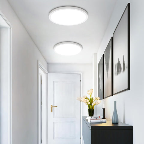 SunRider non-dimmable LED fixture for stable, consistent light output.