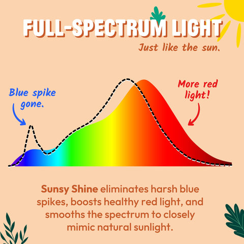 Sunsy Shine circadian-support lighting creates a natural daily rhythm in bedrooms
