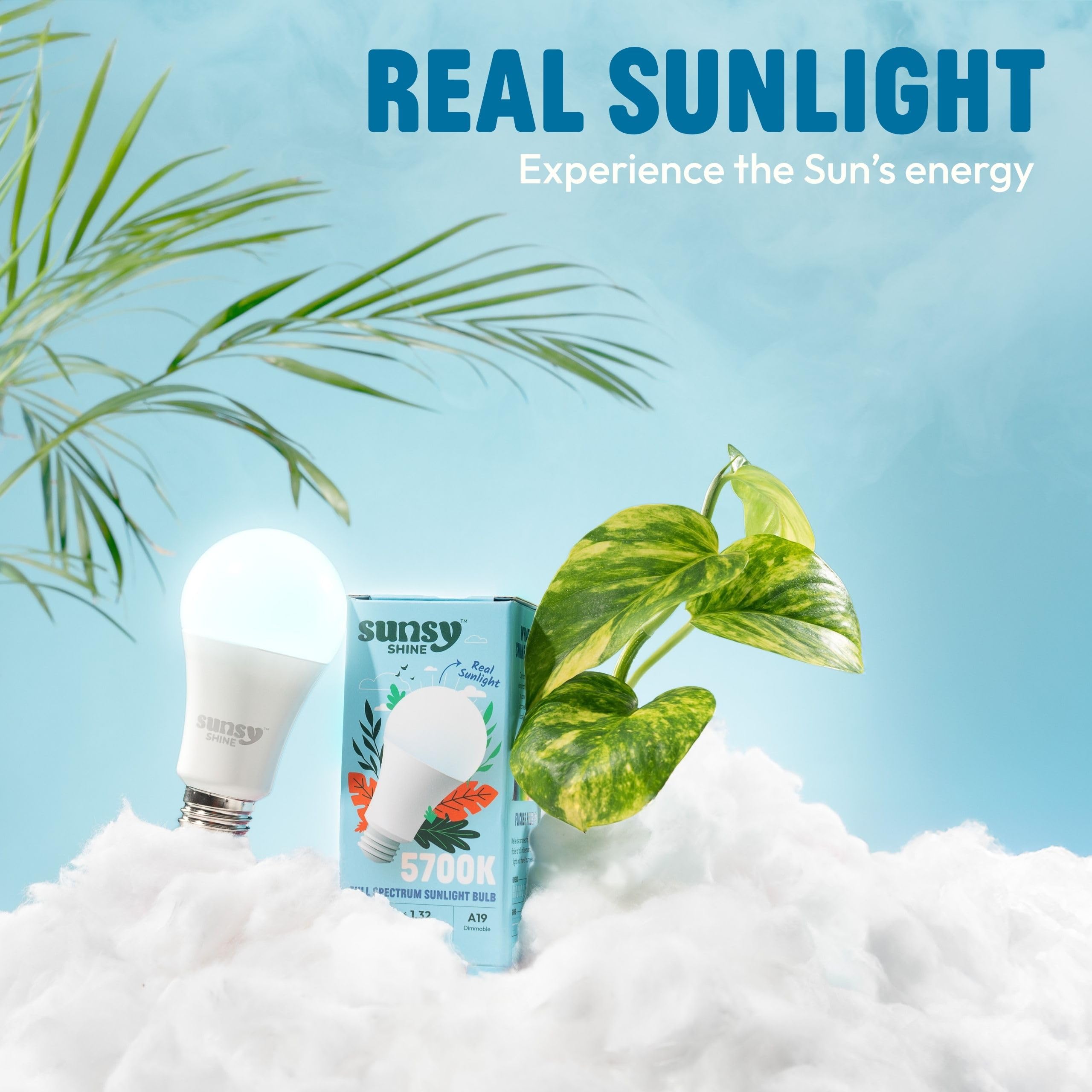 Sunsy Shine ultra-low flicker design reduces eye strain during work.