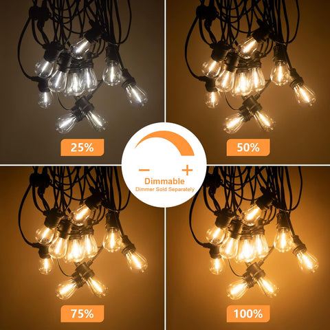 SUNTHIN dimmable outdoor lights with remote dimming options.