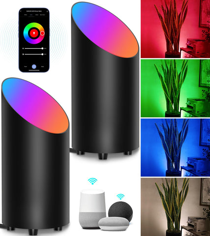 SUNVIE 2-pack floor can light front view with RGBW ambience options