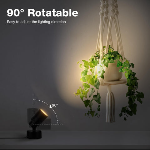 SUNVIE on-floor base uplight illuminates ceiling-free spaces and decor