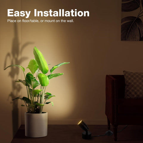 SUNVIE uplight aimed at a plant creates subtle shading and depth