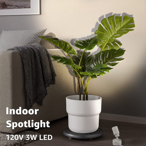 SUNVIE LED up light on floor highlighting plants and artwork