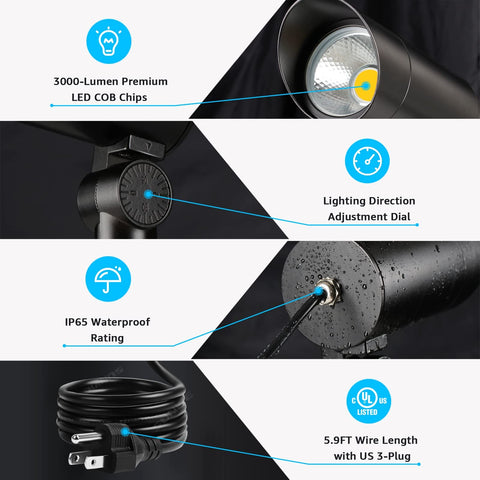 SUNVIE 24° beam angle highlights features and architecture.