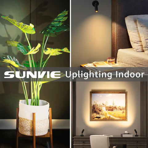 SUNVIE 270-lumen COB LED renders colors vividly